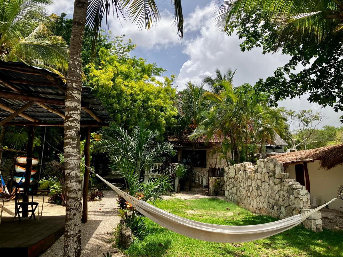 Tortuga Bacalar Bed and Breakfast Eksteriør billede