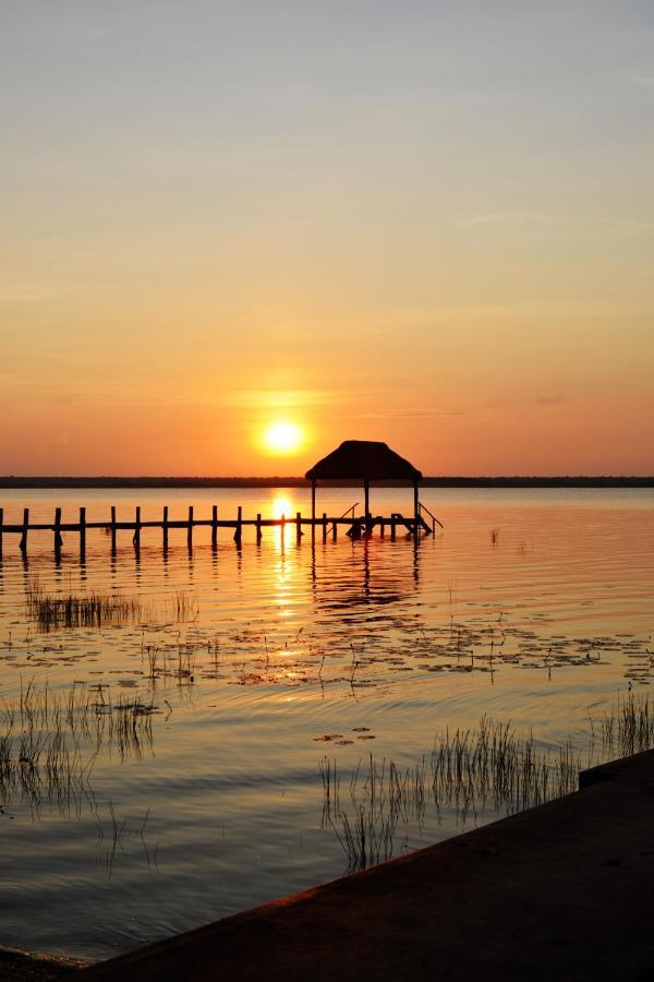 Tortuga Bacalar Bed and Breakfast Eksteriør billede