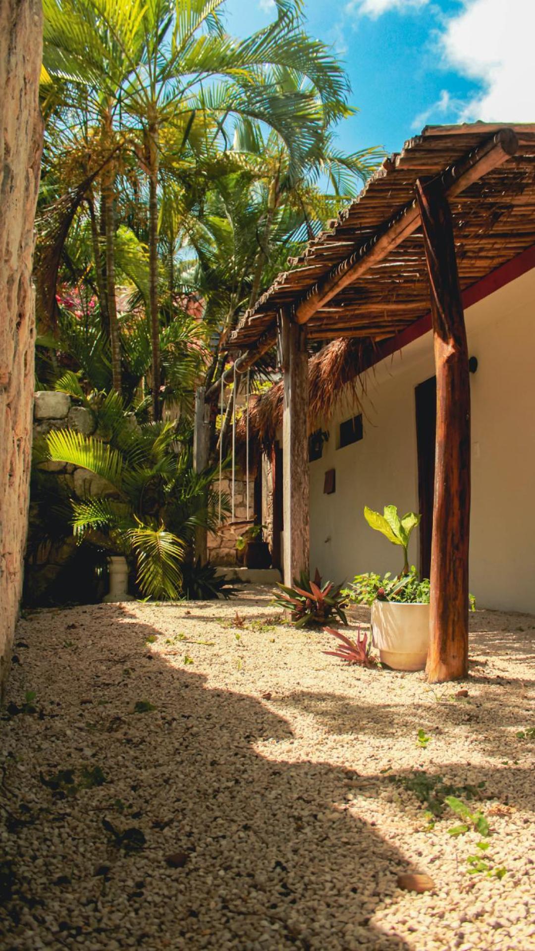 Tortuga Bacalar Bed and Breakfast Eksteriør billede