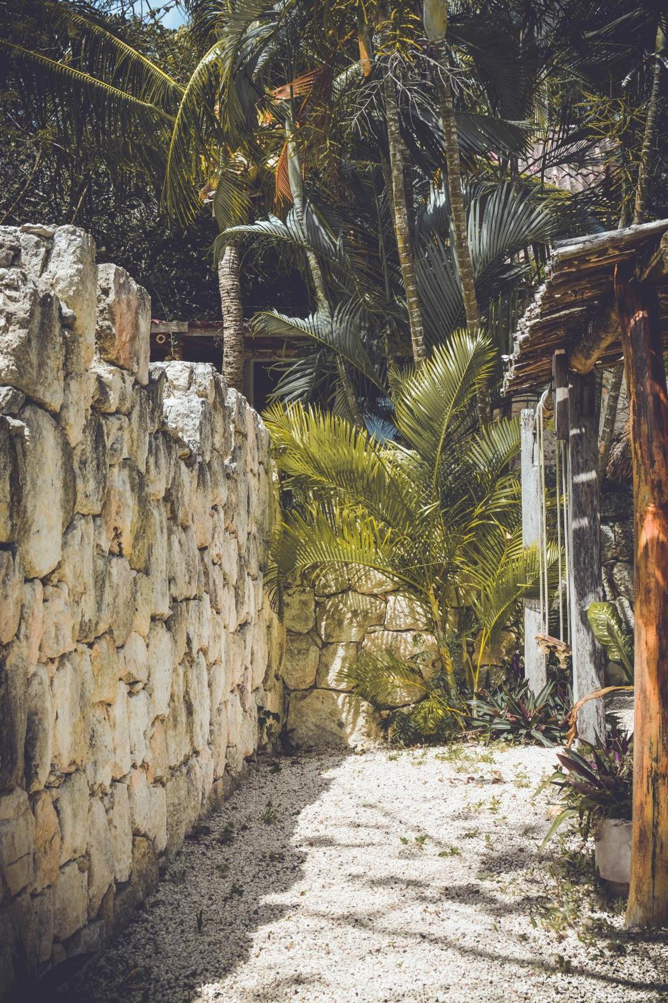 Tortuga Bacalar Bed and Breakfast Eksteriør billede