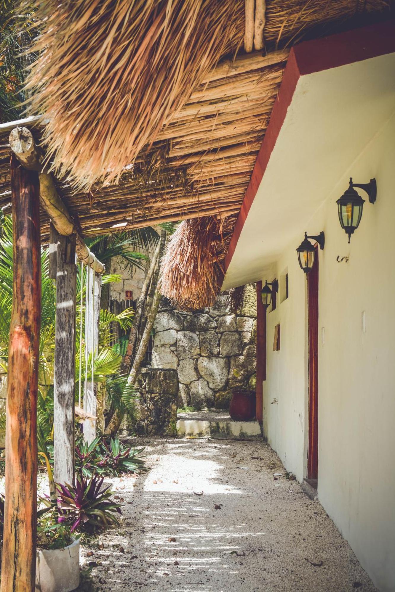 Tortuga Bacalar Bed and Breakfast Eksteriør billede