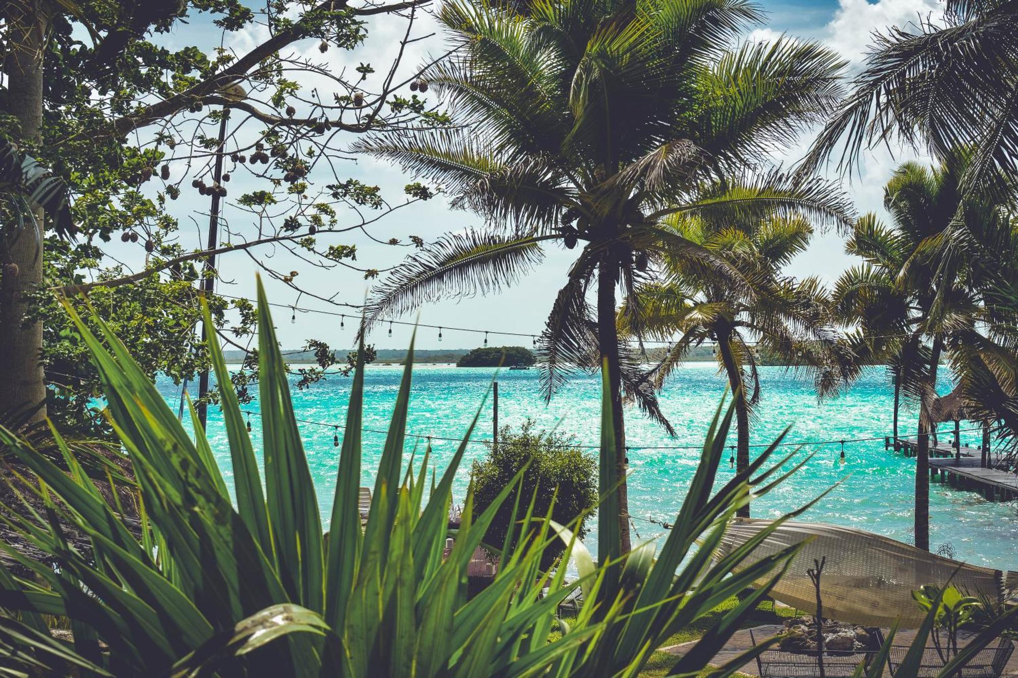 Tortuga Bacalar Bed and Breakfast Eksteriør billede